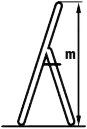 Height