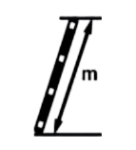 Section length