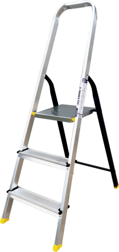 Reinforced combined ladder